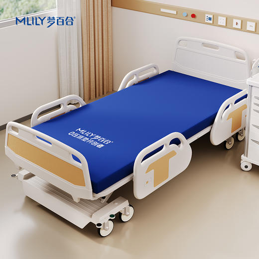 【冯站长】梦百合护理床垫家用单人 商品图0