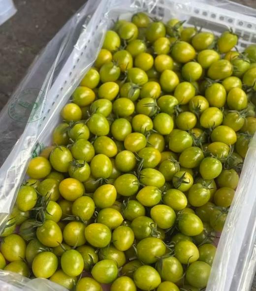 纯正一级青甜2号小柿子高糖番茄千禧贝贝高档商超专用顺丰包邮*2.5kg 商品图3