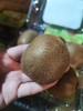 【限量秒杀】徐香（绿心）即食猕猴桃，皮薄肉厚，硬果酸甜、软果纯甜多汁 商品缩略图7
