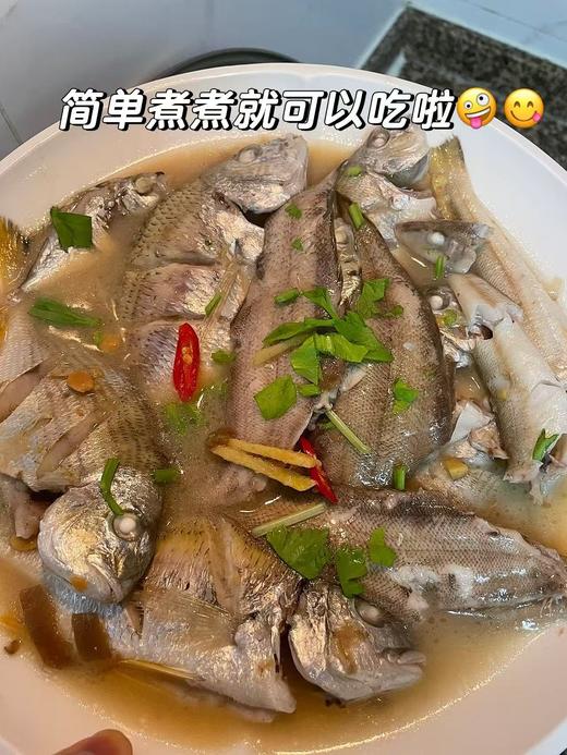 xm❥{今日现货鲜杀处理，批发价 收到即可烹饪}纯深海杂鱼，一份品尝多种海鱼，告别选择困难！红烧、酱焖、煮汤、香煎…鲜活冻处理好去肚内脏，怎么折腾都好吃！ 商品图3