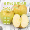 京鲜生 山东黄金维纳斯苹果 雀斑苹果 12-15粒 净重4.6斤 生鲜水果 商品缩略图2