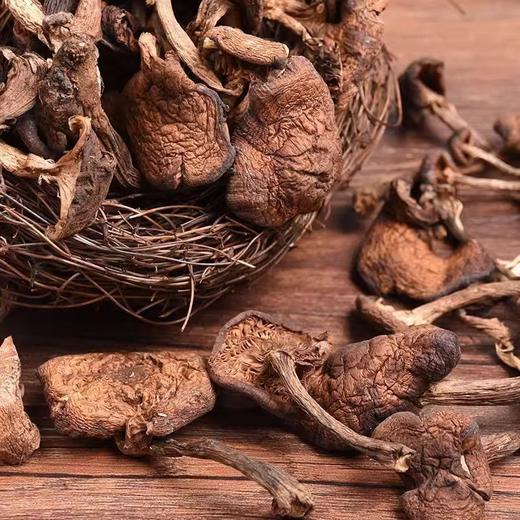 【季节性限量❗️无法人工培育】东北野生榛蘑特级榛蘑菇小鸡炖蘑菇纯天然蘑菇钉无根无沙新货。jb 商品图1