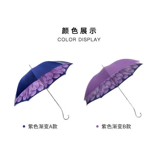 Pasotti意大利手工定制双层紫色大丽花伞面钩形手柄直杆晴雨伞 商品图1