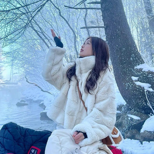 【冬季新款保暖仿水貂绒皮草外套】女羊羔毛立领仿懒兔毛短款大衣潮感 商品图4