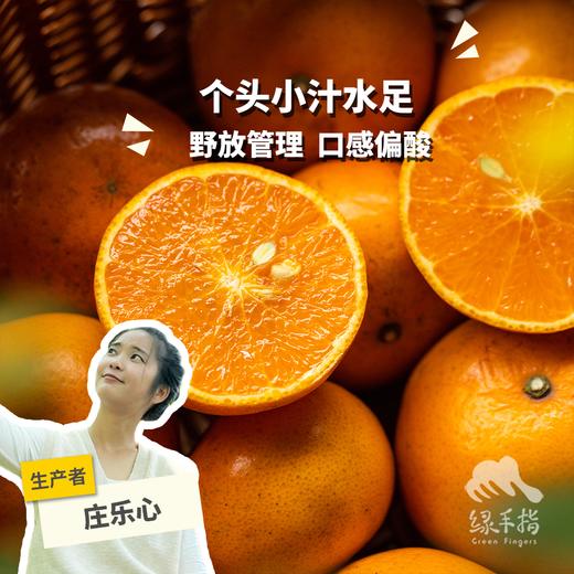 生态沃柑（清远，中通） | 合作生产*Eco-orah | Partner Production 商品图0
