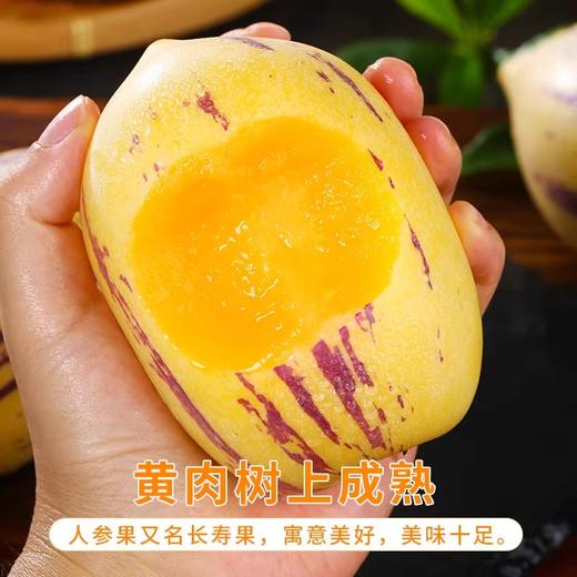 【甘肃民勤人参果】甘肃大漠民勤人参果 新鲜水果 整箱发货 商品图2