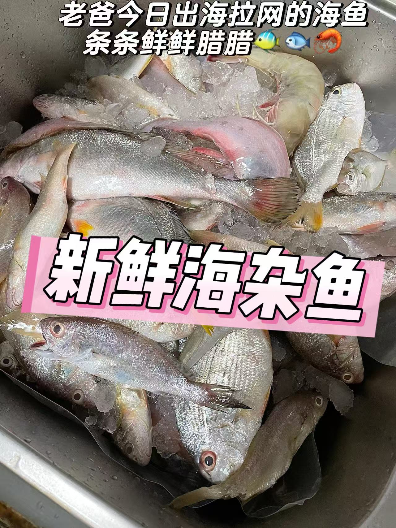 xm❥{今日现货鲜杀处理，批发价 收到即可烹饪}纯深海杂鱼，一份品尝多种海鱼，告别选择困难！红烧、酱焖、煮汤、香煎…鲜活冻处理好去肚内脏，怎么折腾都好吃！