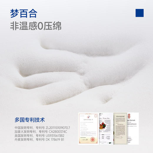 【冯站长】梦百合护理床垫家用单人 商品图2