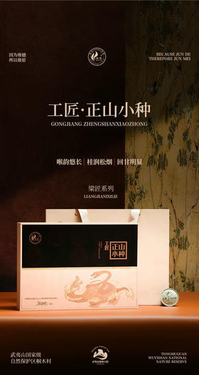 骏德茶业 武夷山红茶茶叶桐木关工匠正山小种100g