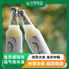 生态虔赋优品气泡米酒  | 公平贸易 | 基地直发 * Sparkling Rice Wine | Fair Trade 商品缩略图0