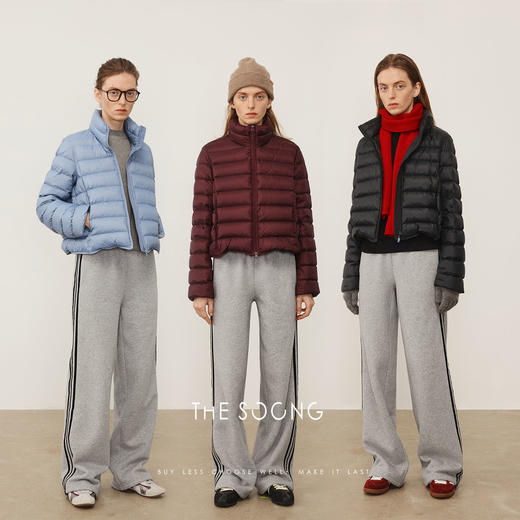 THESOONG"排骨羽绒"90白鹅绒7针间线保暖立领羽绒服HWYRF8287 商品图0