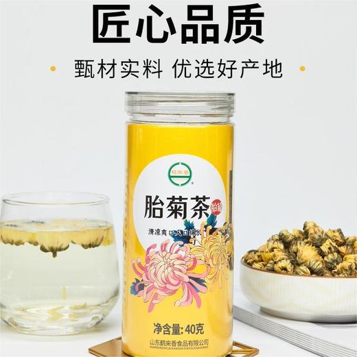 【甄选实料匠心品质❗️香气浓郁口感清甜】胎菊茶40克罐装菊花茶桐乡原产胎菊花花草养生茶。jb 商品图0