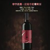 蒂宁庄园 法国进口15度 干红葡萄酒750ml 商品缩略图2