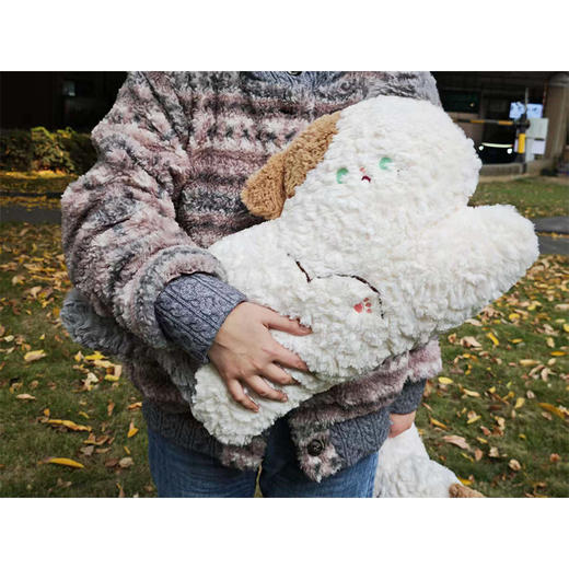 50cm软萌猫咪抱枕卧姿抱枕-纪念日百货门店同款166546396 商品图2