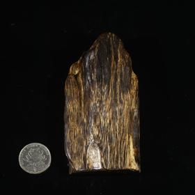 BC.RS12.5-2   东马老料沉水(摆件料) ，89.58g