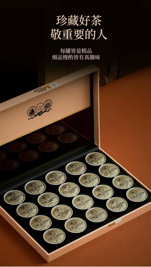 骏德茶业 武夷山红茶茶叶桐木关工匠正山小种100g  商品图1