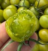 纯正一级青甜2号小柿子高糖番茄千禧贝贝高档商超专用顺丰包邮*2.5kg 商品缩略图6