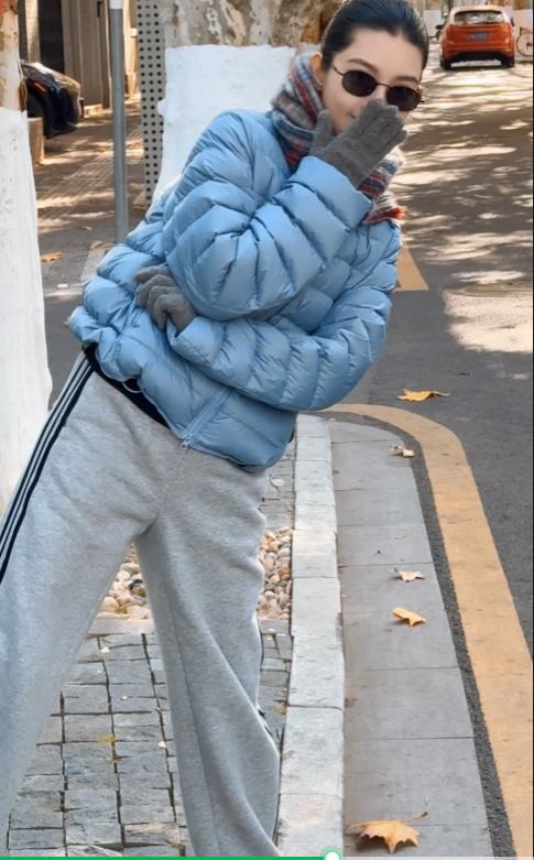 THESOONG"排骨羽绒"90白鹅绒7针间线保暖立领羽绒服HWYRF8287 商品图1