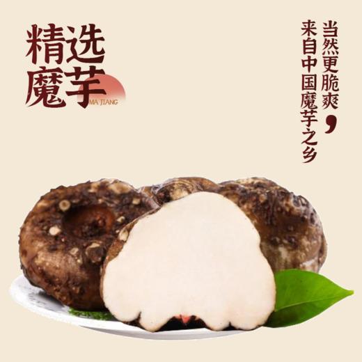 【宜昌助农馆】一致 魔乐哥魔芋干香辣味  散装休闲零食下饭 商品图6