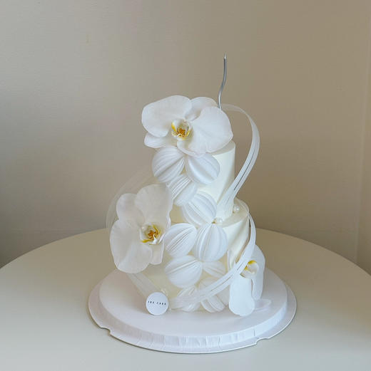 蝴蝶兰 H 商品图1