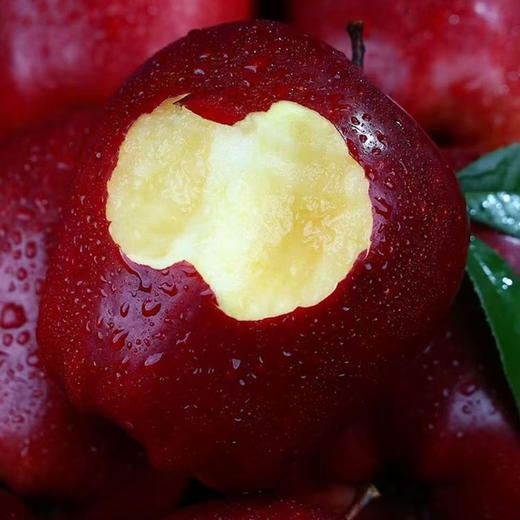 甘肃高原花牛苹果 净重3-8斤彩箱/礼盒装 商品图0