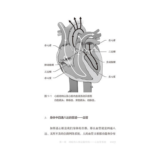 拆弹专家探寻藏在血管里的定时炸弹 邓勇志 介绍了这类疾病的危险信号的暴露临床表现病情评估治疗等诸多方面的知识人民卫生出版社 商品图4