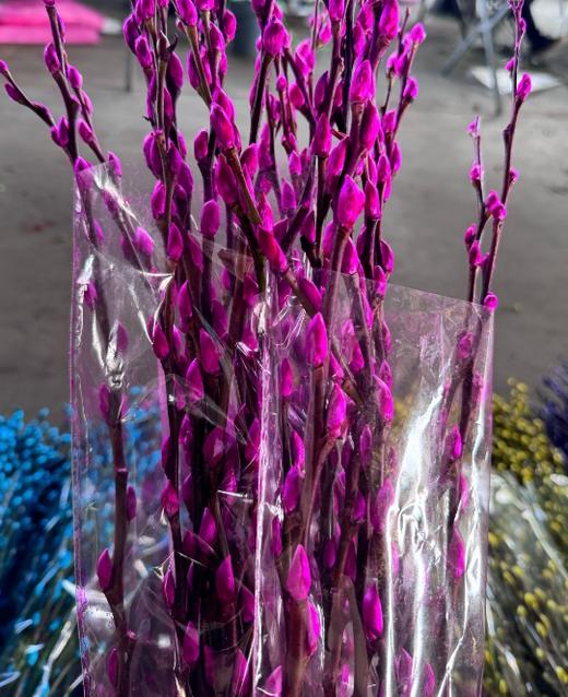 叶材 | 银柳玫红 商品图0