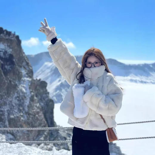 【冬季新款保暖仿水貂绒皮草外套】女羊羔毛立领仿懒兔毛短款大衣潮感 商品图1