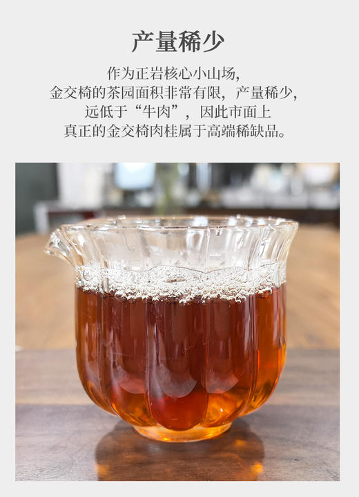 金交椅 武夷肉桂 6泡/约50克 商品图6
