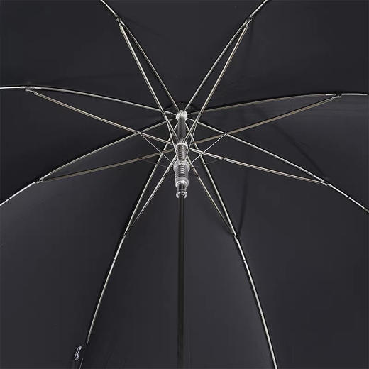 Pasotti葩莎帝意大利手工定制银狮子男士长柄伞轻奢晴雨两用伞 商品图2