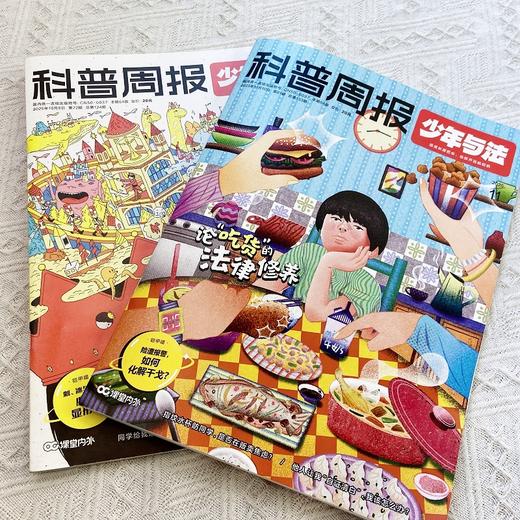 科普周报少年与法（1年共12期）（杂志订阅） 商品图3