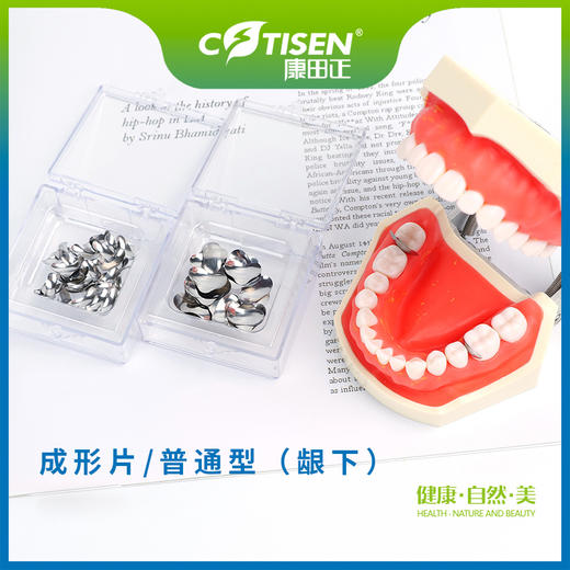 成形片普通型 商品图3