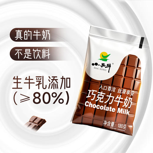 【光明&小西牛】巧克力牛奶儿童学生早餐风味调制乳180g*16袋 商品图2