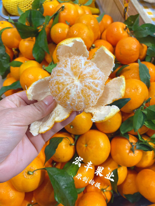 【宏丰精选 】沃柑  肉质脆嫩 水分足 活动价4.8元一斤 商品图10