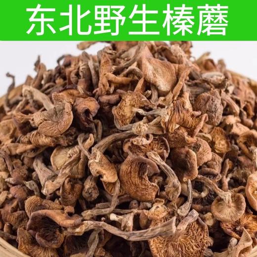 【季节性限量❗️无法人工培育】东北野生榛蘑特级榛蘑菇小鸡炖蘑菇纯天然蘑菇钉无根无沙新货。jb 商品图0