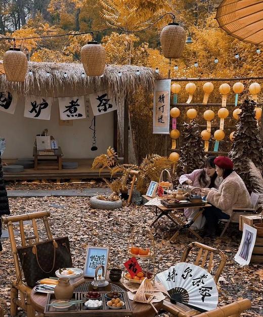 72小时内发货【摩飞围炉煮茶器】摩飞新年复团，爆卖围炉煮茶器，围炉煮茶，好柿花生 轻煮岁月慢煮茶，围一方天地。三五好友围在茶台附近，一边煮茶，一边茶壶周围还可以烤地瓜、花生、栗子、砂糖橘，甚至烤年糕 商品图5