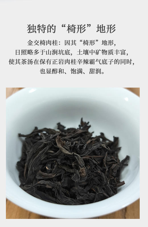 金交椅 武夷肉桂 6泡/约50克 商品图2