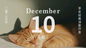 读猫？不，在读神秘又有力量的自己。