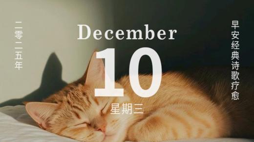 读猫？不，在读神秘又有力量的自己。 商品图0