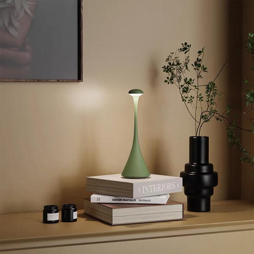 UBIQUA  台灯床头灯轻奢高级感卧室氛围感露营防水室外充电式台灯 商品图0