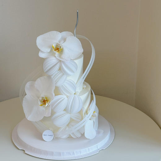 蝴蝶兰 H 商品图0