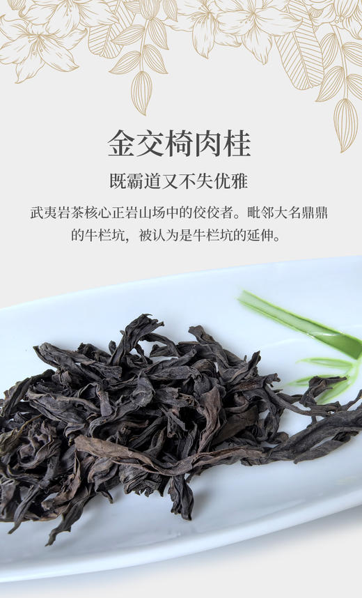 金交椅 武夷肉桂 6泡/约50克 商品图1