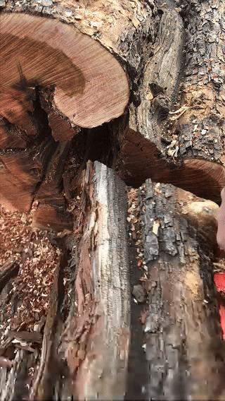 【雷击木合集】手串吊坠挂件手把摆件 商品图1