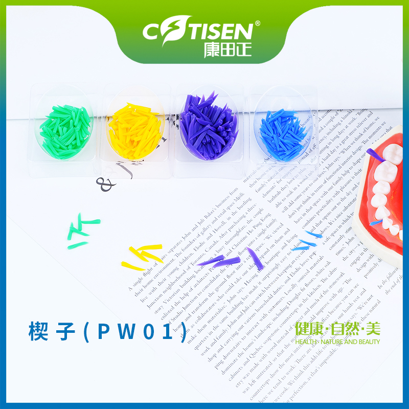 楔子PW01（普通楔子）