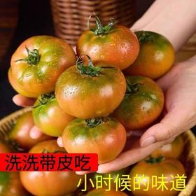 【5斤更超值❗丹东铁皮柿子】产地直供，特产现摘现发，肉厚多汁，酸甜可口！整箱西红柿新鲜生吃3斤水果碱地番茄非草莓L