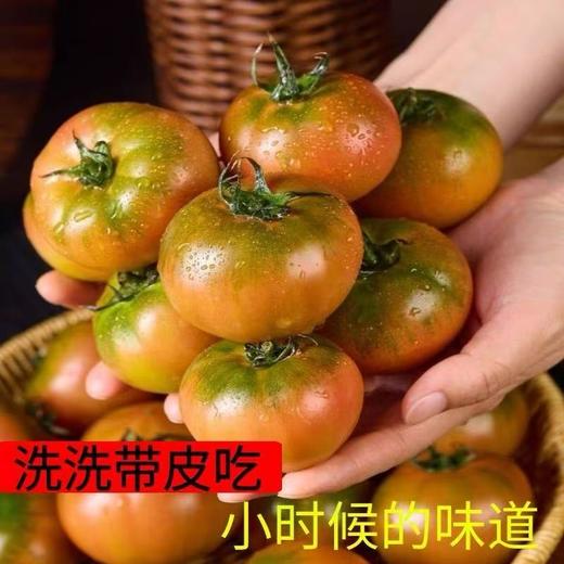 【5斤更超值❗丹东铁皮柿子】产地直供，特产现摘现发，肉厚多汁，酸甜可口！整箱西红柿新鲜生吃3斤水果碱地番茄非草莓L 商品图0