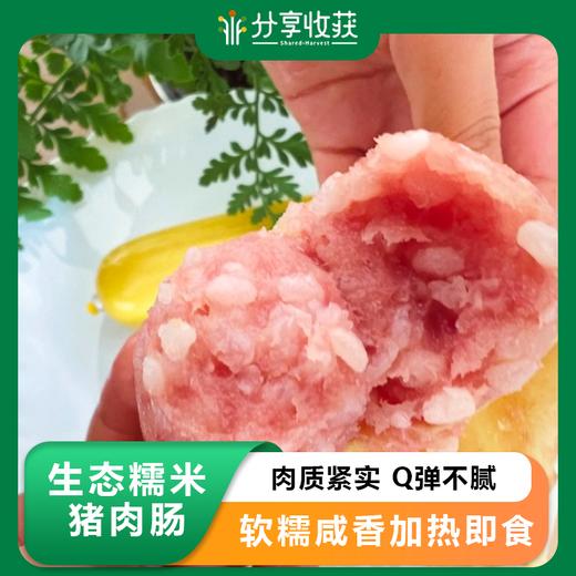 生态糯米猪肉肠 | 肉质紧实 Q弹不腻 | 合作生产 * Ecological glutinous rice and pork sausage 商品图0