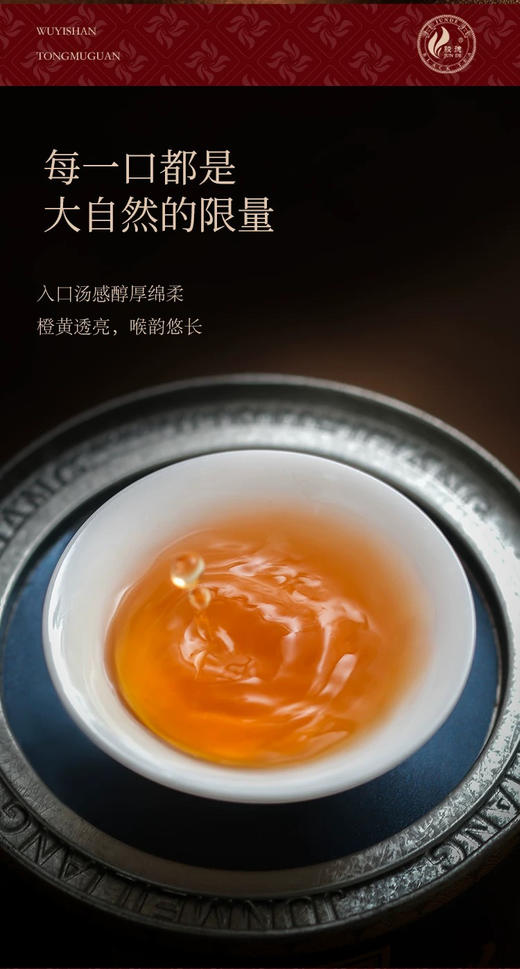 骏德茶业 红茶桐木关红茶桂圆汤松烟香 特级正山小种50g 商品图3