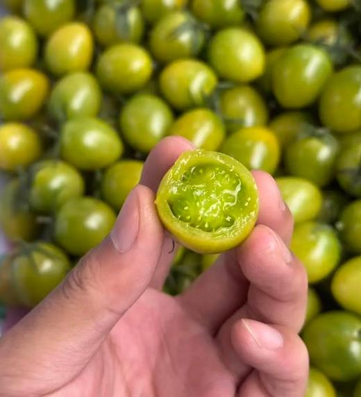 纯正一级青甜2号小柿子高糖番茄千禧贝贝高档商超专用顺丰包邮*2.5kg 商品图2