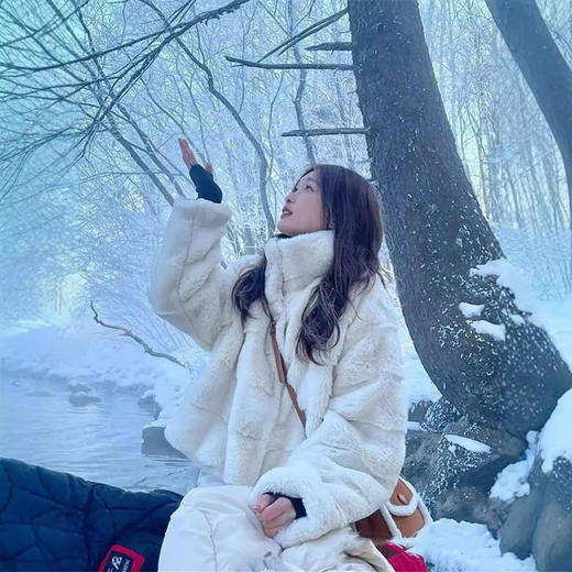 【冬季新款保暖仿水貂绒皮草外套】女羊羔毛立领仿懒兔毛短款大衣潮感 商品图3